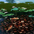 Lotus Pond Garden Landscape With Koi Fish Lily Pads And Lotus Flowers