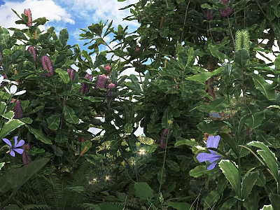 Lush Green Shrubs With Vibrant Purple Flowers And Sunlit Foliage In Garden 3d model