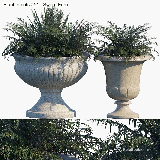 Decorative Ornament Display Set with Two Stone Planters Carved Patterns and Fern Plants 3d model 