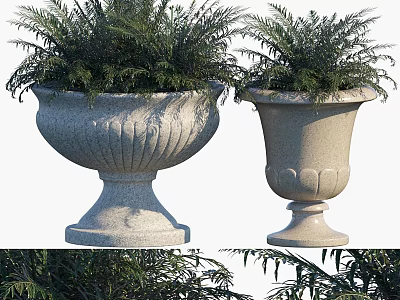 Decorative Ornament Display Set with Two Stone Planters Carved Patterns and Fern Plants 3d model