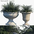 Decorative Ornament Display Set with Two Stone Planters Carved Patterns and Fern Plants