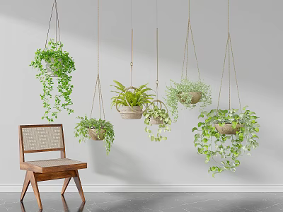 Various Hanging Trailing Green Plants with Macramé Planters Wooden Chair and White Wall 3d model