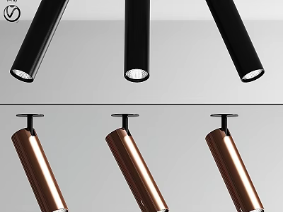 Modern Black and Copper Downlights and Spotlights With Sleek Cylindrical Design 3d model