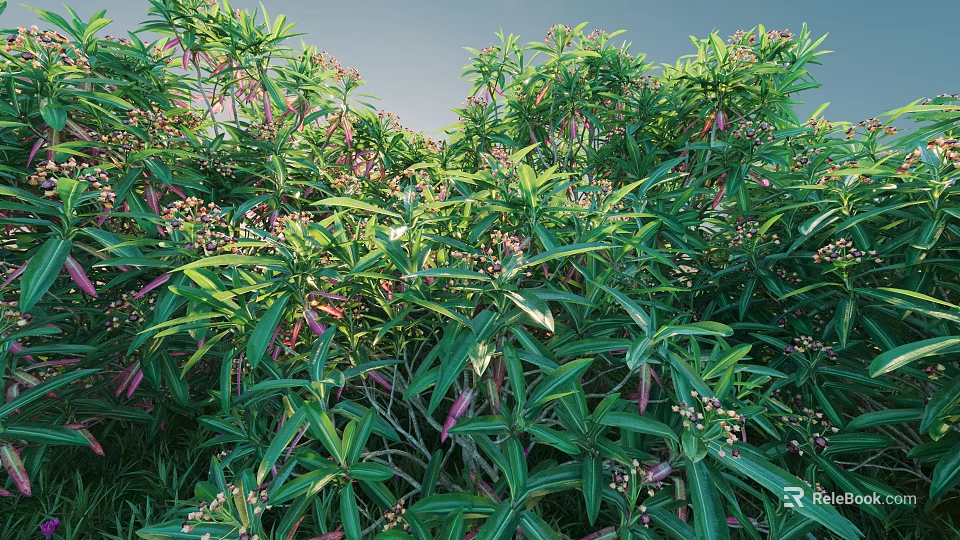 Lush Green Shrubs With Purple Flowers And Dense Vibrant Leaves In Outdoor Garden 3d model 