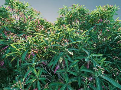 Lush Green Shrubs With Purple Flowers And Dense Vibrant Leaves In Outdoor Garden 3d model