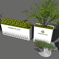 Wanda Plaza Flower Pots Display Yellow Flowers And Tree For Outdoor Decoration