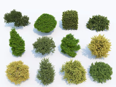 Different Types of Green and Yellow Shrubs with Various Shapes for Landscaping 3d model
