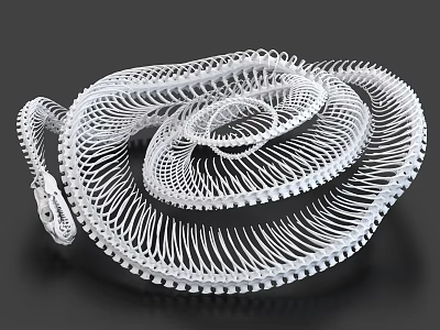 Intricate White Coiled Reptile Snake Wireframe Structure 3D Designed on Black Background 3d model