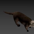 Realistic 3D Otter Model With Brown Fur Standing On Green Background
