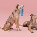 Two Dogs Playing with Blue Ring Toy Sitting and Lying on Pink Background