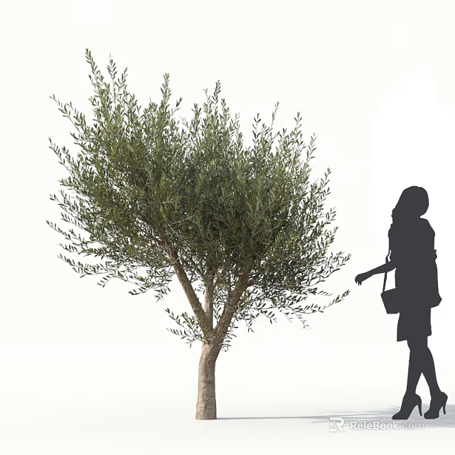 Lush Olive Tree with Female Silhouette Standing Nearby Holding Bag 3d model 