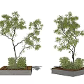 Modern Tree Pool Landscape Tree Pool 3d model