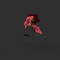 Ceramic Vase With Red And Pink Flowers And Green Leaves On Black Background