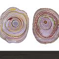 Colorful Shaped Rugs With Layered Circular Patterns For Home Decor 3d model