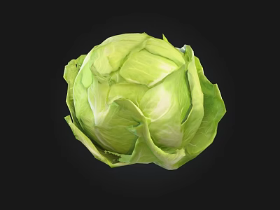 Fresh Green Cabbage with Crisp Leaves Healthy Raw Vegetable for Salads And Cooking 3d model