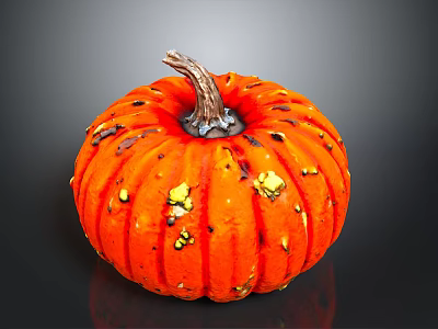 Vibrant Orange Pumpkin With Brown Stem And Yellow Black Spots On Reflective Black Background 3d model