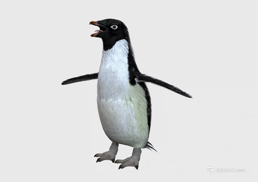 Cute Penguin Standing With Open Wings And Black White Feathers On Plain White Background 3d model 