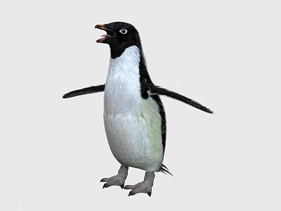 Cute Penguin Standing With Open Wings And Black White Feathers On Plain White Background 3d model