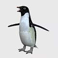 Cute Penguin Standing With Open Wings And Black White Feathers On Plain White Background