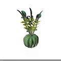 Indoor Decorative Plant with Green and Yellow Leaves in Green Pumpkin Shaped Vase