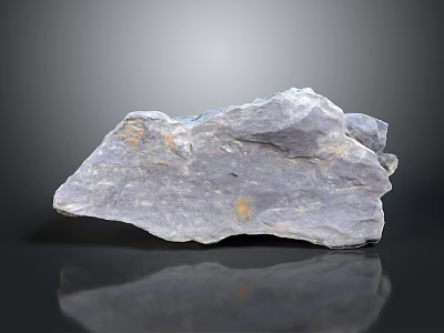 Natural Wood Stone With Gray Surface And Yellow Spots On Black Reflective Surface 3d model