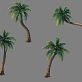 Multiple Palm Trees with Curved Trunks and Green Fronds Displayed on Gray Background 3d model