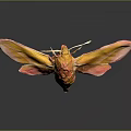 Modern Butterfly Various Butterfly Set Colored Butterfly 3d model