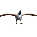 Canada Goose Standing With Spread Wings And Black Head White Body Isolated On White Background