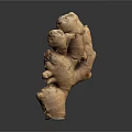 Fresh Whole Ginger Root With Natural Bumpy Texture And Brown Skin