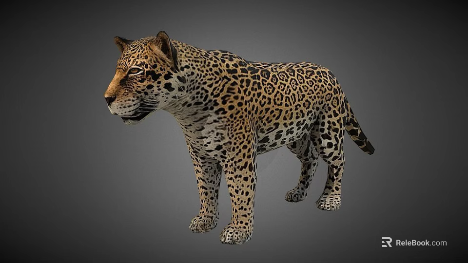 Realistic 3D Model of Flying Eagle with Detailed Feather and Wing Structure 3d model