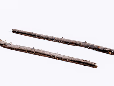 Two Natural Wooden Sticks With Bark And Small Branches On White Background 3d model