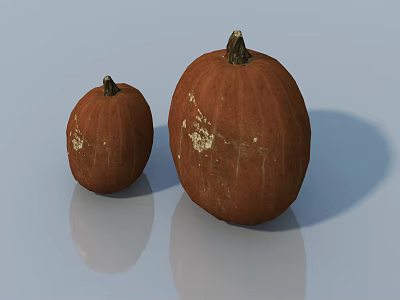 Fresh Brown Pumpkins Small And Large With Textured Surface On Reflective Background 3d model