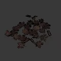 Yellow And Brown Maple Leaves As Scattered Ground Cover On White Background