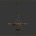 Classic Metal Chandelier Lighting Combination With Multiple Decorative Arms 3d model