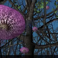Vibrant Purple Leopard Patterned Jellyfish Hanging Among Tree Branches With Green Leaves At Night