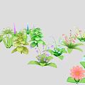 Colorful Plants Collection With Various Shapes And Different Colored Flowers In Illustration Style