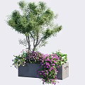 Green Bonsai Potted Plant With Purple Flowers And Hanging Leaves In Gray Rectangular Planter