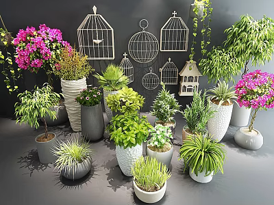 Variety of Bonsai and Potted Plants With Different Planters and Decorative Birdcages 3d model