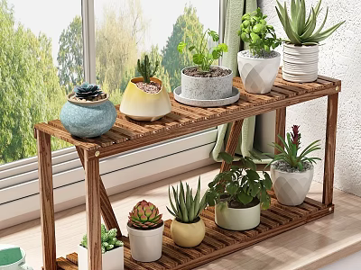 Two Tiered Wooden Plant Stand With Various Potted Plants In Colorful Pots By Window 3d model