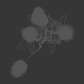 Dried Roses Bouquet With Wilted Petals Stems And Leaves On Dark Background