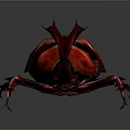 Vibrant Red Rhinoceros Beetle With Large Curved Horn And Spiny Legs On Gray Surface