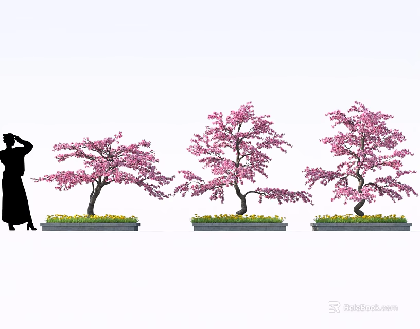 Cherry Blossom Themed Desserts With Pink Flower Trees And Green Grass Area 3d model 