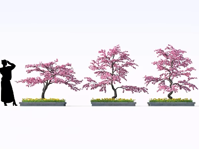 Cherry Blossom Themed Desserts With Pink Flower Trees And Green Grass Area 3d model
