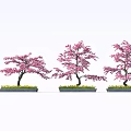 Cherry Blossom Themed Desserts With Pink Flower Trees And Green Grass Area
