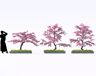 Cherry Blossom Themed Desserts With Pink Flower Trees And Green Grass Area 3d model