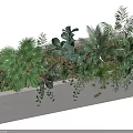 Modern White Rectangular Planter Box With Various Green Plants Different Leaf Types And Hanging Vines 3d model