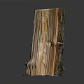 Wooden Stump Cross Section With Natural Wood Grain On White Circular Base
