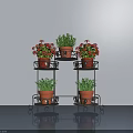 Potted Plants On Black Metal Tiered Stand With Red Flowers Green Foliage And Terracotta Pots