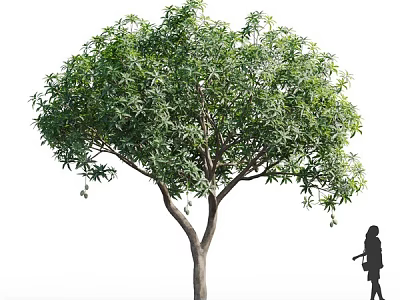 Tall Arbor With Lush Green Leaves And Trunk Featuring A Person Silhouette 3d model