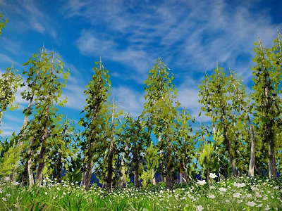Arbors In Lush Foliage Under Blue Sky With Green Grass And White Flowers 3d model